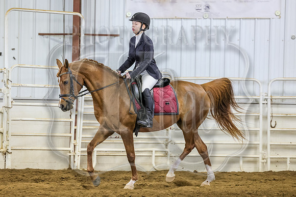 SASS-0935
