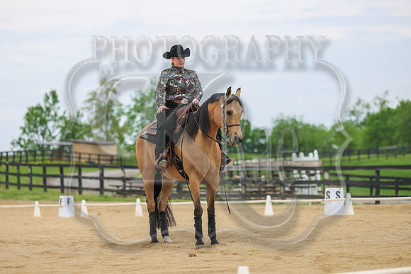 SASS-0833