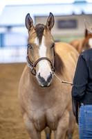 OSB_FallShow-2280