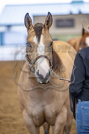 OSB_FallShow-2280