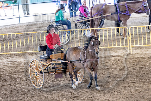 OSB_FallShow-0600