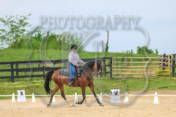SASS-2013