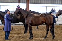 OSB_FallShow-0199