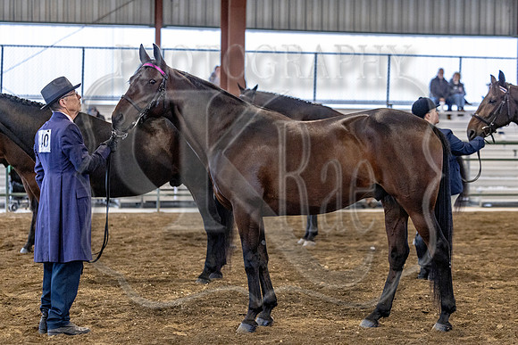 OSB_FallShow-0199