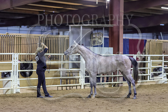 SASS-5770