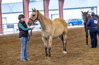 OSB_FallShow-2283