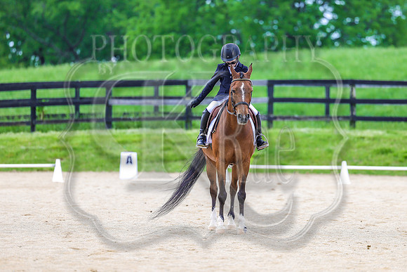 SASS-0774