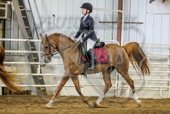 SASS-0938