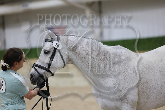 BN5A7188