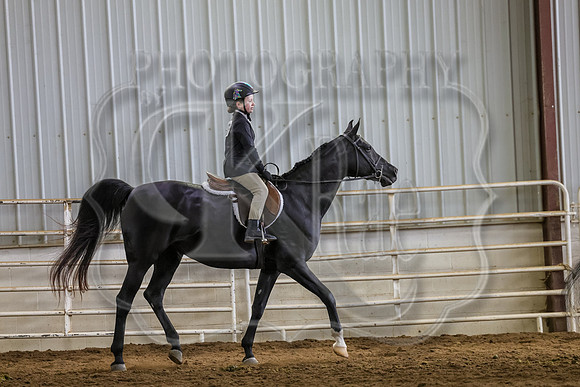 SASS-5585