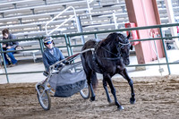 OSB_FallShow-0879
