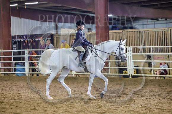 SASS-1540