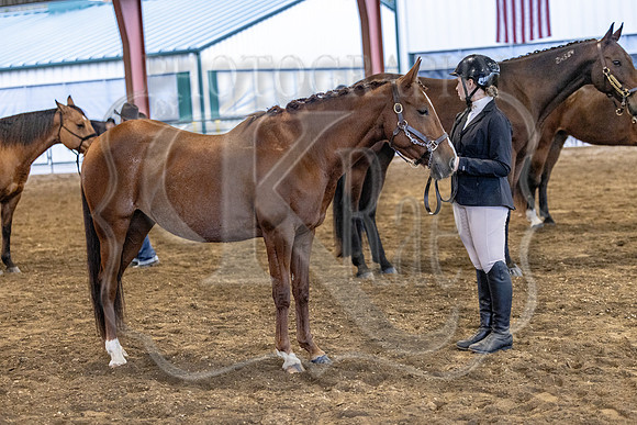 OSB_FallShow-0243