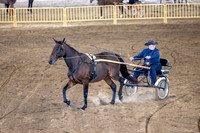 OSB_FallShow-0588