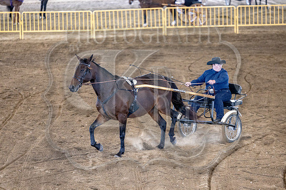 OSB_FallShow-0588