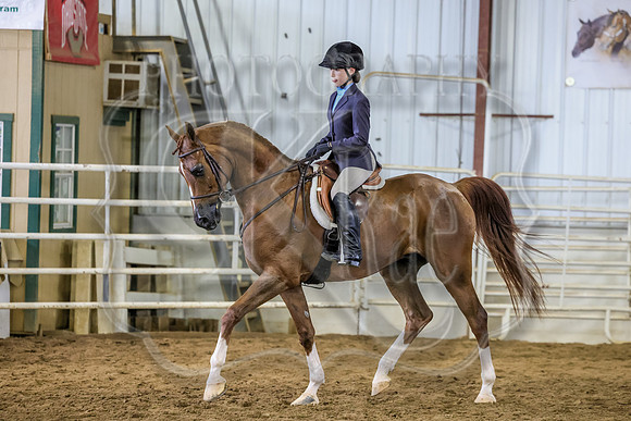 SASS-4174