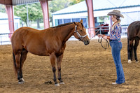 OSB_FallShow-0247