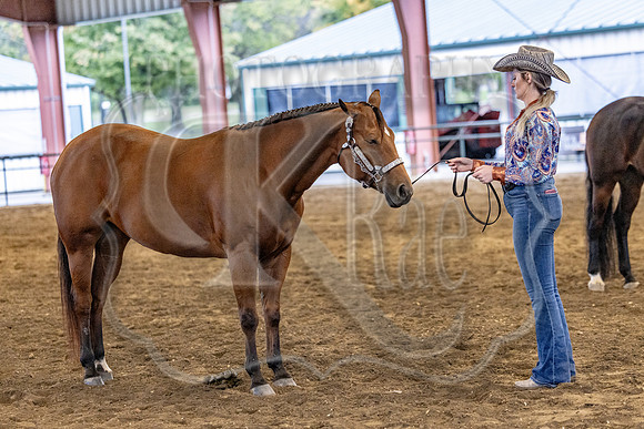 OSB_FallShow-0247