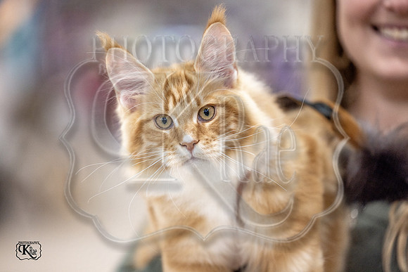 CFA_WLMGTN-0192