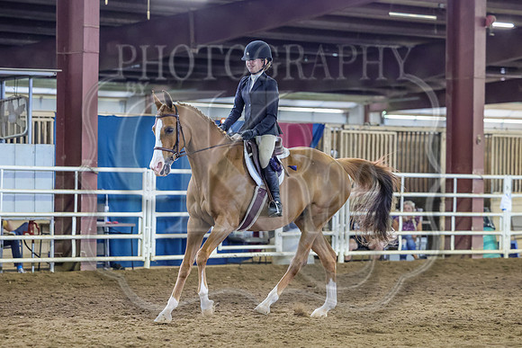 SASS-3941