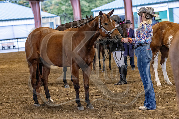 OSB_FallShow-0083