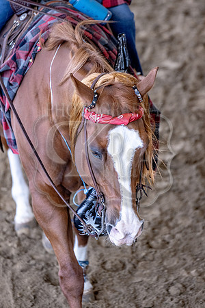OSB_FallShow-1215