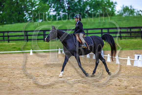 SASS-4439