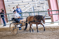 OSB_FallShow-0236