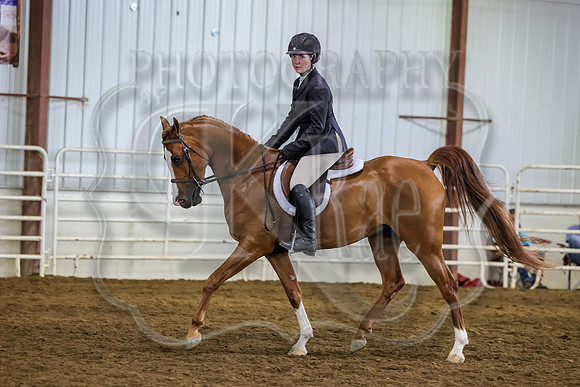SASS-2594
