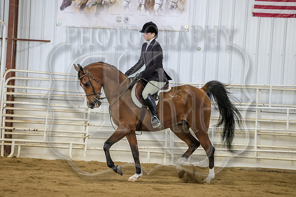 SASS-3104