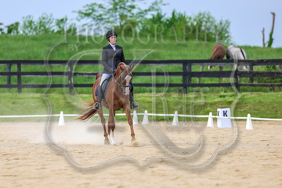 SASS-2193