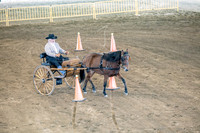 OSB_FallShow-0534