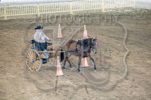 OSB_FallShow-0534