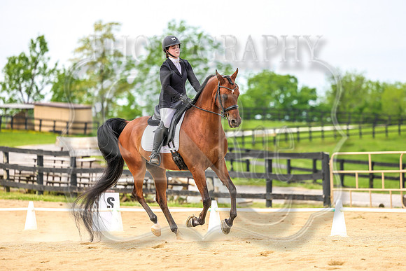 SASS-3805