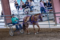 OSB_FallShow-0889