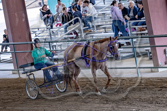 OSB_FallShow-0889