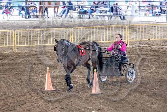 OSB_FallShow-0720