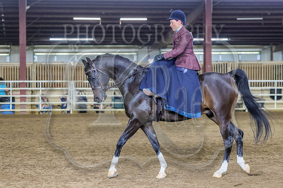 SASS-8290