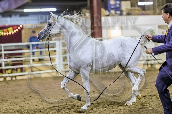SASS-6280