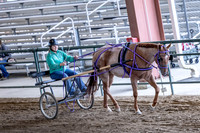 OSB_FallShow-0898