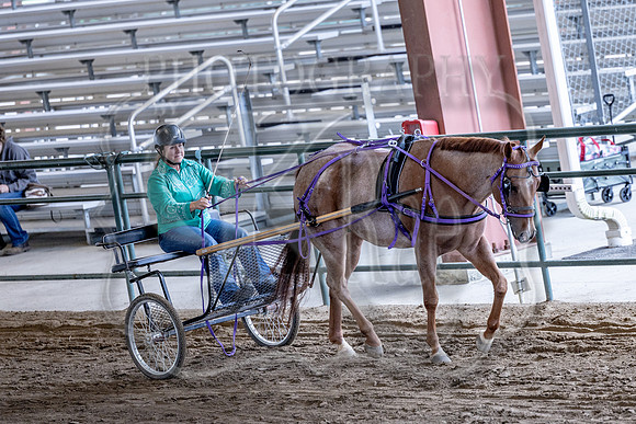 OSB_FallShow-0898