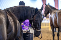 OSB_FallShow-0211