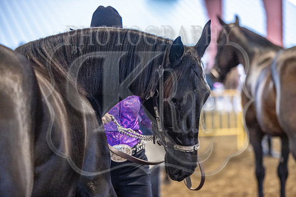 OSB_FallShow-0211