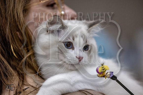 CFA_WLMGTN-0101