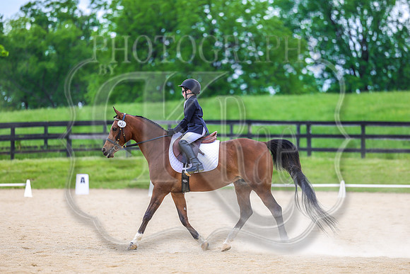 SASS-0763