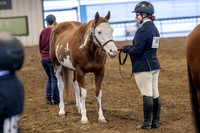 OSB_FallShow-0048