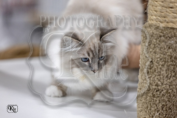 CFA_WLMGTN-0172