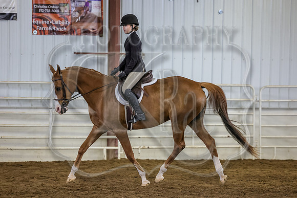 SASS-3801