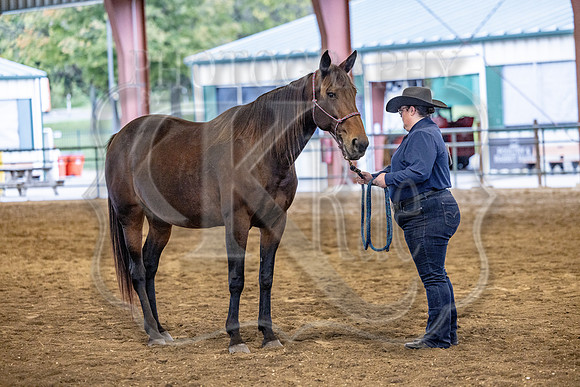 OSB_FallShow-2256