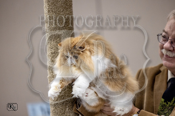 CFA_WLMGTN-0288